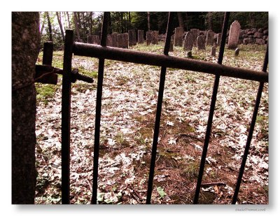 Nineteenth Century Graveyard, Tamworth, N.H.by Fremiet