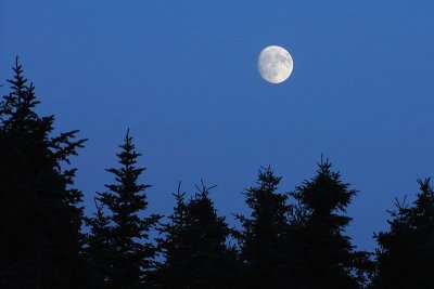 Gibbous Moonrise