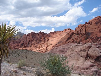 Red Rock Canyon<br>by Chris Noel