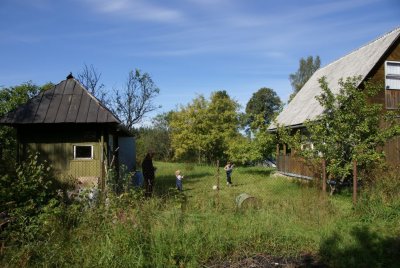 77.jpg