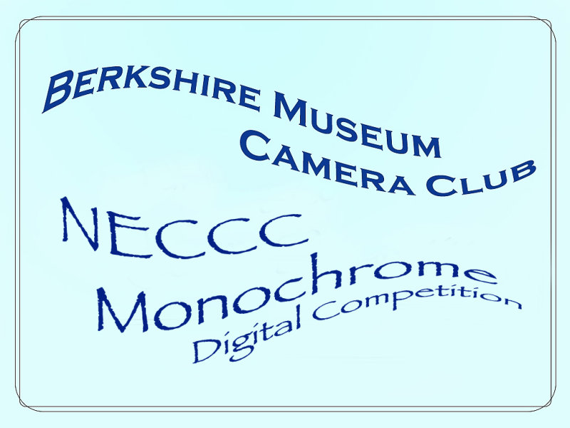 NECCC.Monochrome