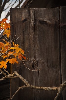 BMCC 2010 Weathered Wood