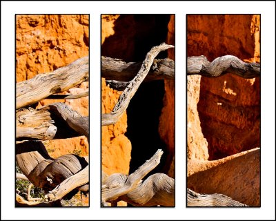 Twisted Canyon by Craig Clemow. Honorable Mention