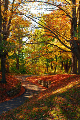 Autumnal Pass by Rebecca Wood - 2R