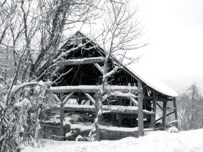 Touch of Winter by Jeanne Driscoll
