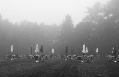 Umbrellas by Shirley Blanchard