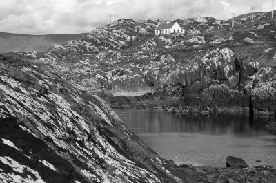 Lambs Head, Ireland by Steve Blanchard