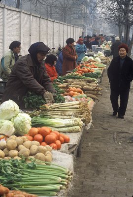 Winter Vegetables, Xian