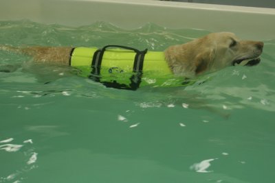 Reluctant Swimmer