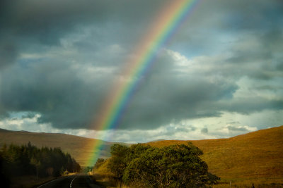 The Road to the End of the Rainbow by Sharon Lips. 19 points