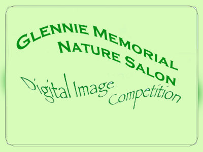 Glennie 2013 Memorial Nature Salon