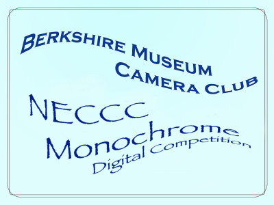NECCC 2013 Monochrome