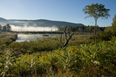 September Morning by Shirley Blanchard