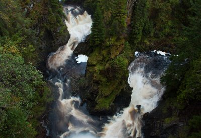 Plodda Falls