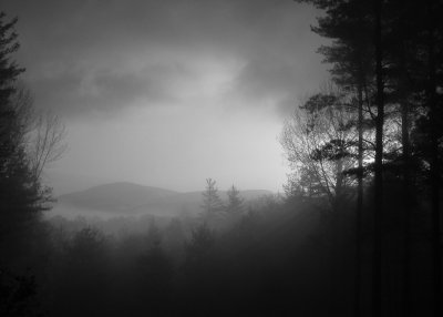 Misty Mountain by Diana Norton