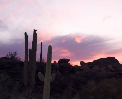 Joel A. Wolk. Tucson Sunset. 5