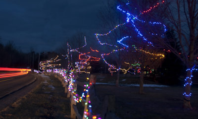 Christmas Lights by David O'Brien. 2R tied