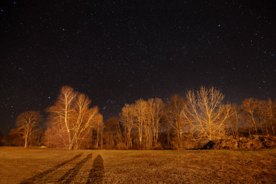 Not All The Stars Are In The Sky by Denise Chandler. Honorable Mention Digital Image of the Year. Regular