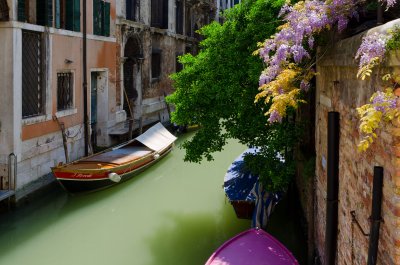 04182011-Venice-0917
