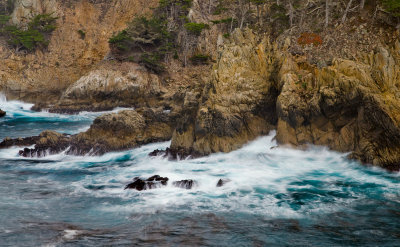 Point Lobos 12-2011