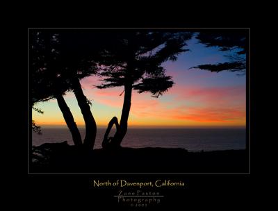 Cypress Sunset