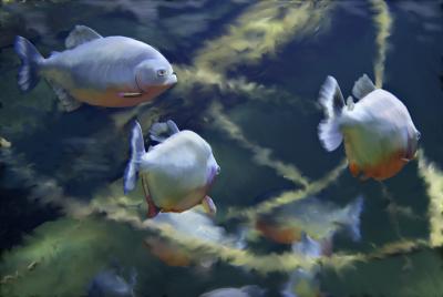 Painted Fish