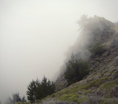 Foot Steps in the Fog / Muir Beach Overlook