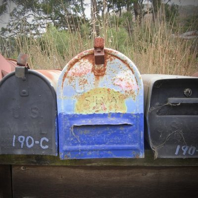 Checks in the Mail / Muir Beach
