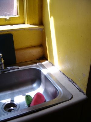sink with sponges