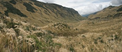 High in the Andes. (1)