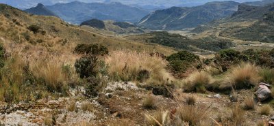 High in the Andes. (5)