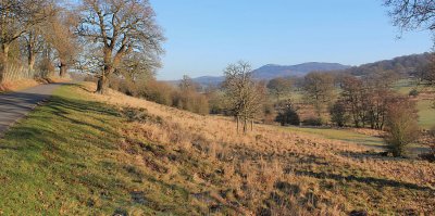 The Deer Park, Eastnor Castle Estate.