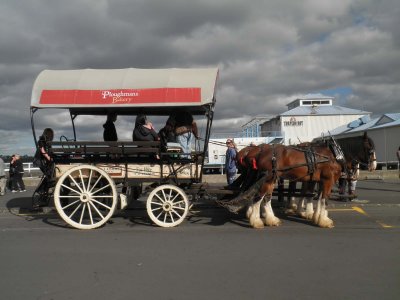 Horse and Carriage