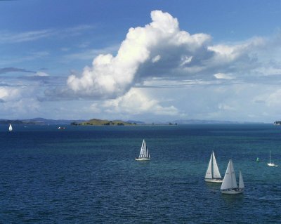 Auckland Harbour