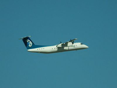 Air New Zealand 15
