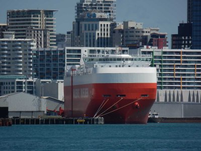 Bledisloe Wharf