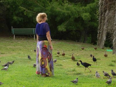 Sandra and Birds