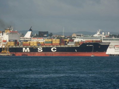 MSC MONICA 1