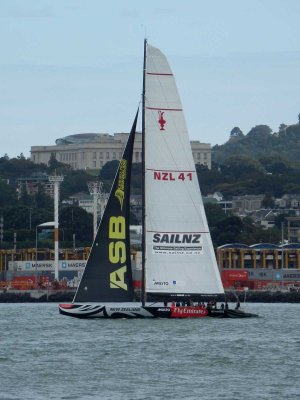 NZL 41