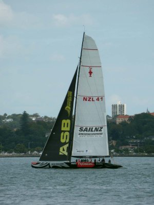 NZL 41 again