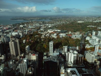 Auckland East