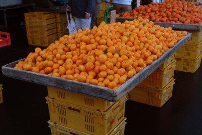 Takapuna Market 13