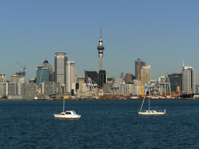 Sky Tower and Harbour.jpg