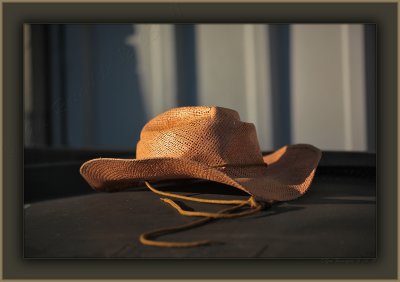 Alley Hat Resting -Evening Light, Loose Collar-Ferrel With Honor