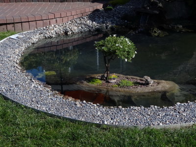 DSC06191_resize.JPG