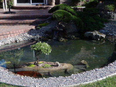 DSC06192_resize.JPG