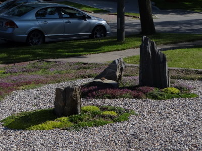 DSC06203_resize.JPG