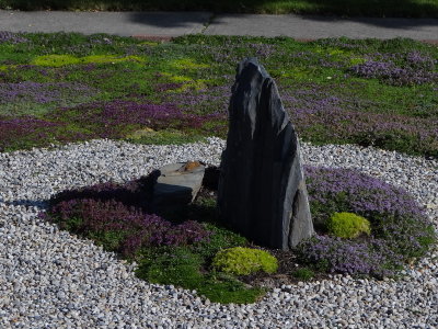 DSC06205_resize.JPG