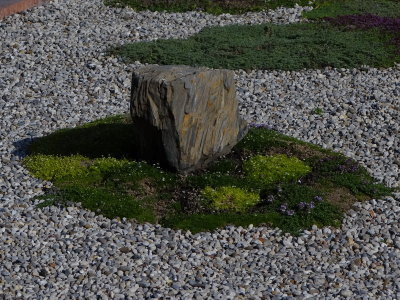 DSC06206_resize.JPG