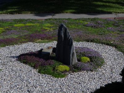 DSC06207_resize.JPG